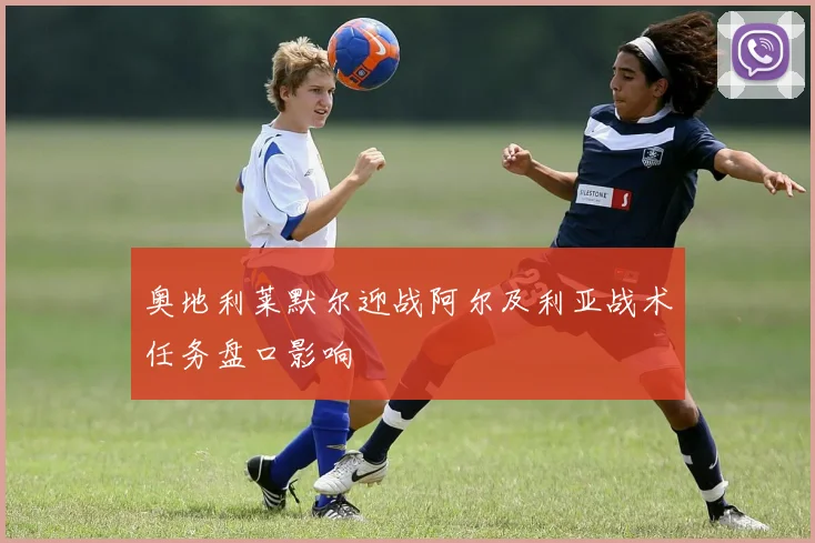 奥地利莱默尔迎战阿尔及利亚战术任务盘口影响